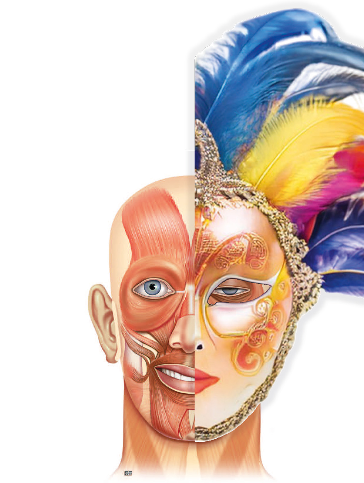 FNT2025_Head_Mask